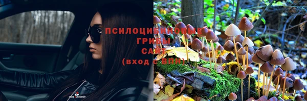 кокс Абаза