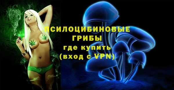 кокс Абаза
