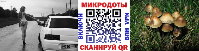 Псилоцибиновые грибы прущие грибы Урень