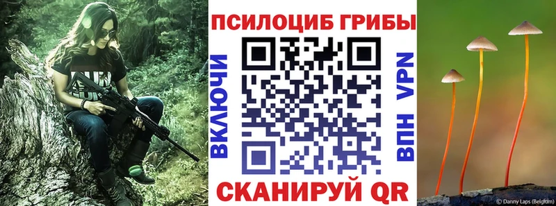 Галлюциногенные грибы Psilocybe  Урень 
